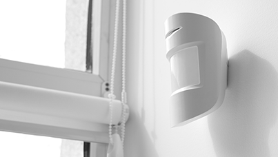 carousel img intrusion detector 1