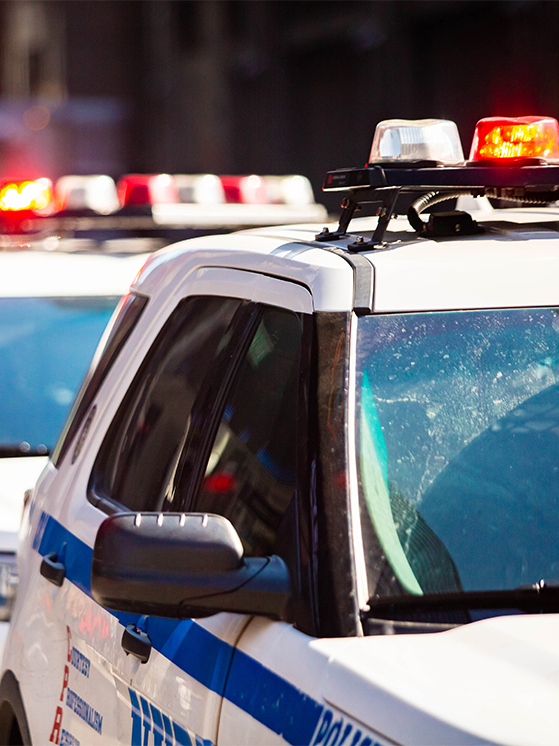 full width section img rapid response